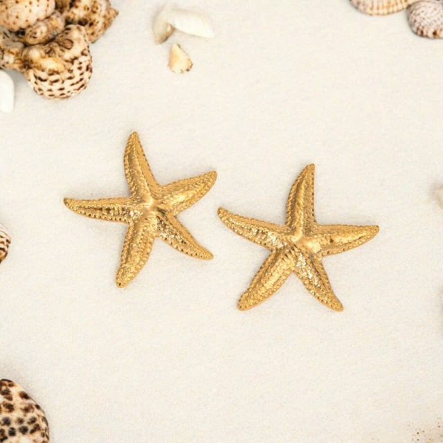 Star Earrings 