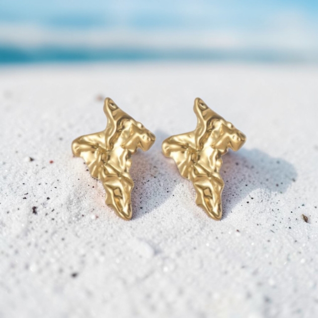 Coral Earrings 